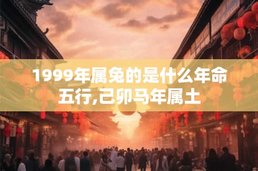 1999年属兔的是什么年命五行,己卯马年属土