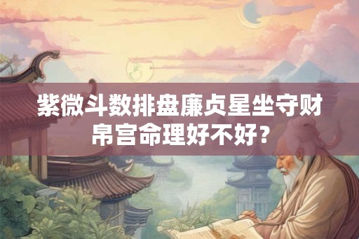 紫微斗数排盘廉贞星坐守财帛宫命理好不好？
