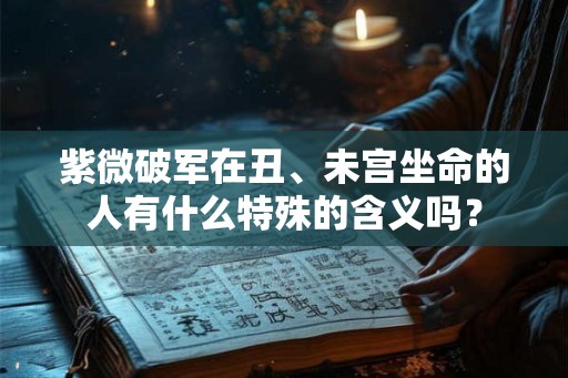 紫微破军在丑、未宫坐命的人有什么特殊的含义吗？