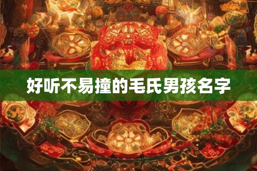 好听不易撞的毛氏男孩名字