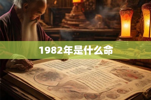 1982年是什么命