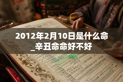 2012年2月10日是什么命_辛丑命命好不好