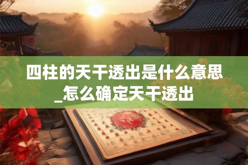 四柱的天干透出是什么意思_怎么确定天干透出
