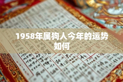 1958年属狗人今年的运势如何