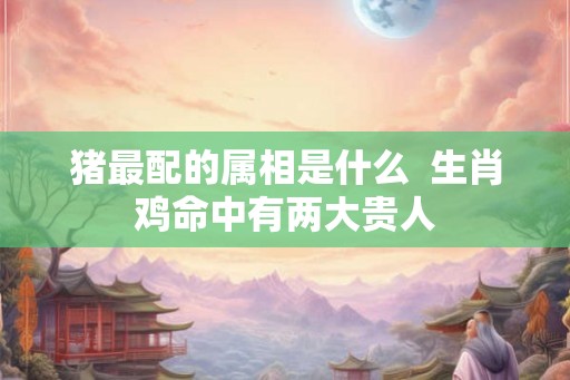 猪最配的属相是什么  生肖鸡命中有两大贵人