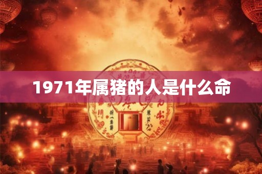 1971年属猪的人是什么命