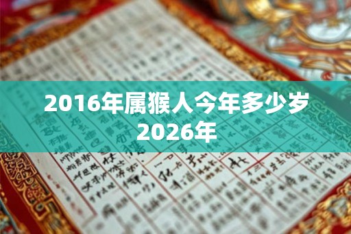 2016年属猴人今年多少岁2026年