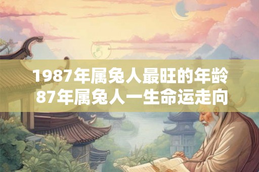 1987年属兔人最旺的年龄 87年属兔人一生命运走向