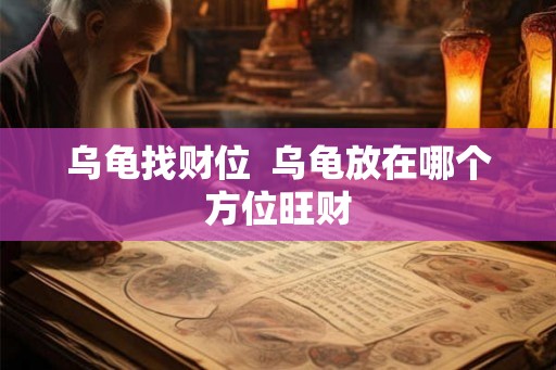 乌龟找财位  乌龟放在哪个方位旺财