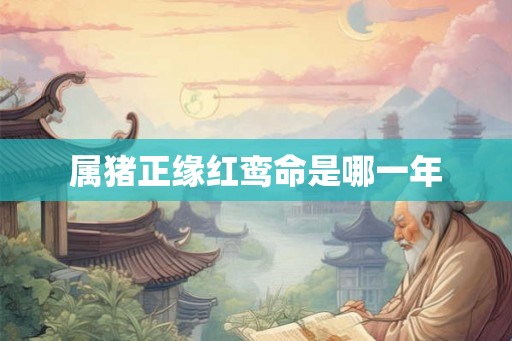 属猪正缘红鸾命是哪一年 属猪正缘红鸾命是哪一年