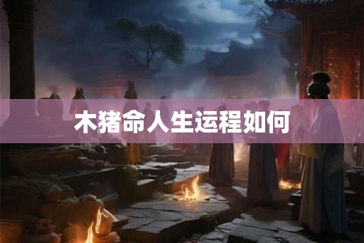 木猪命人生运程如何