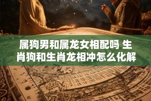 属狗男和属龙女相配吗 生肖狗和生肖龙相冲怎么化解