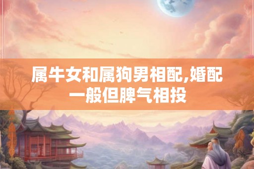 属牛女和属狗男相配,婚配一般但脾气相投