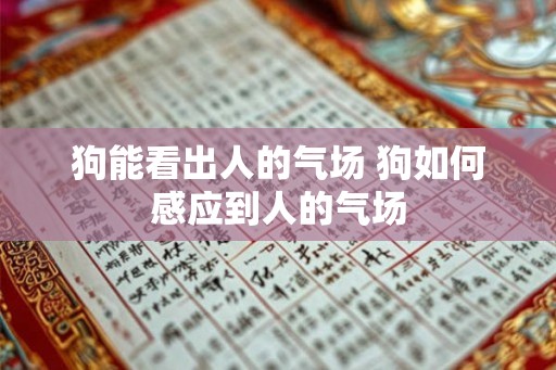 狗能看出人的气场 狗如何感应到人的气场