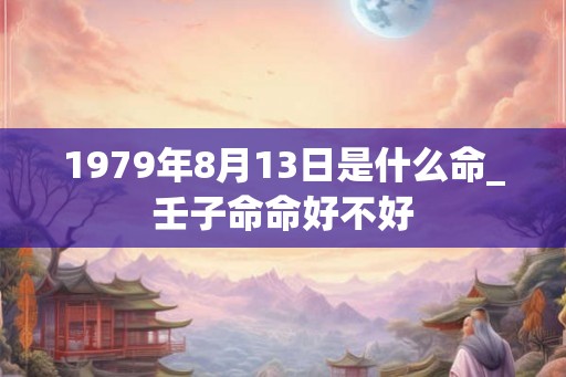 1979年8月13日是什么命_壬子命命好不好