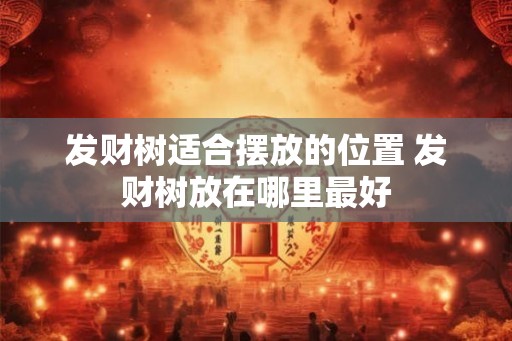发财树适合摆放的位置 发财树放在哪里最好 发财树适合摆放的位置 发财树放在哪里最好