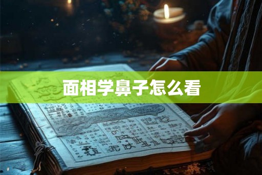 面相学鼻子怎么看