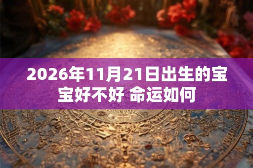 2026年11月21日出生的宝宝好不好 命运如何 2026年11月21日出生的宝宝好不好 命运如何