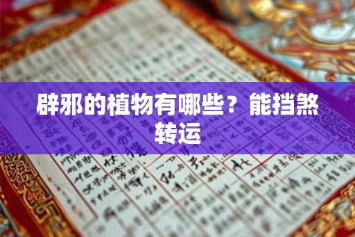 辟邪的植物有哪些？能挡煞转运