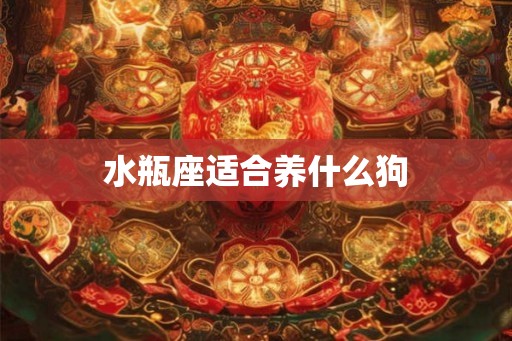 水瓶座适合养什么狗
