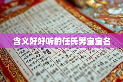 含义好好听的任氏男宝宝名