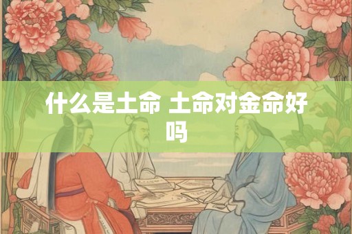 什么是土命 土命对金命好吗