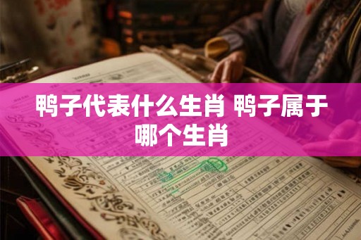 鸭子代表什么生肖 鸭子属于哪个生肖