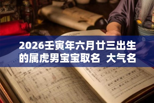 2026壬寅年六月廿三出生的属虎男宝宝取名  大气名字
