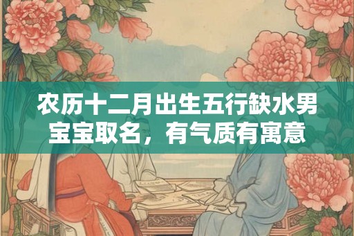 农历十二月出生五行缺水男宝宝取名，有气质有寓意