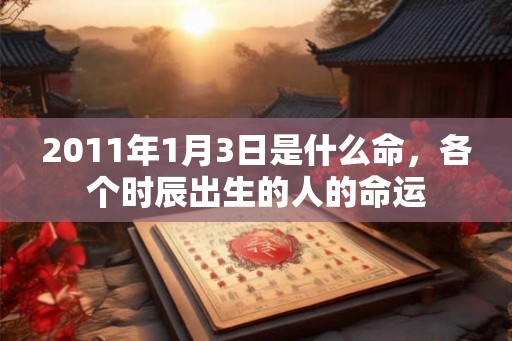 2011年1月3日是什么命，各个时辰出生的人的命运