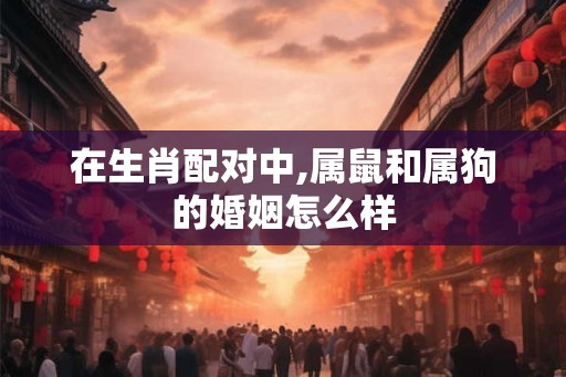 在生肖配对中,属鼠和属狗的婚姻怎么样 在生肖配对中,属鼠和属狗的婚姻怎么样