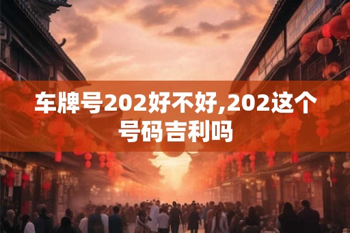 车牌号202好不好,202这个号码吉利吗