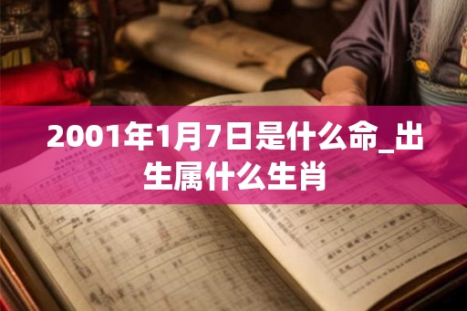 2001年1月7日是什么命_出生属什么生肖