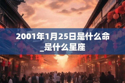 2001年1月25日是什么命_是什么星座