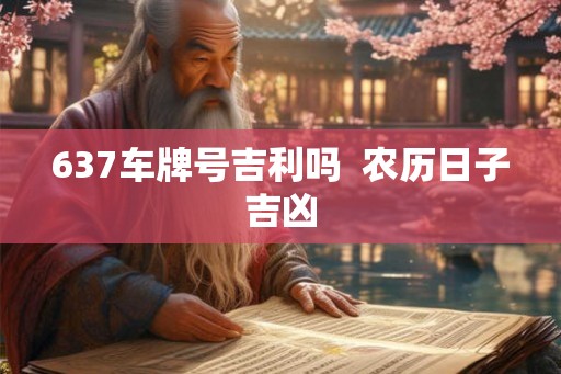 637车牌号吉利吗 农历日子吉凶 637车牌号吉利吗 农历日子吉凶