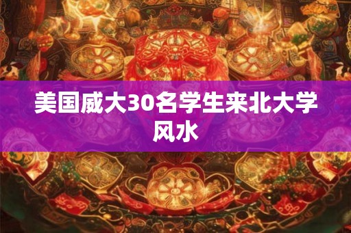 美国威大30名学生来北大学风水
