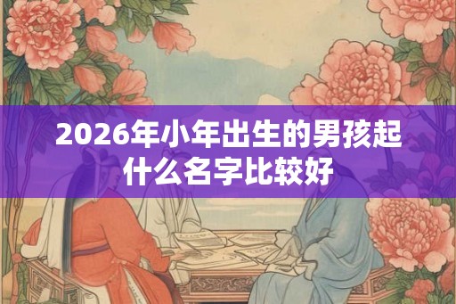 2026年小年出生的男孩起什么名字比较好