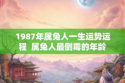 1987年属兔人一生运势运程  属兔人最倒霉的年龄