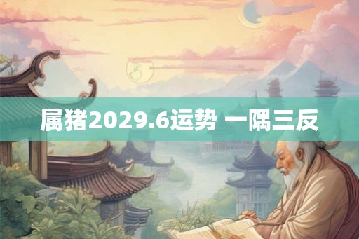 属猪2029.6运势 一隅三反
