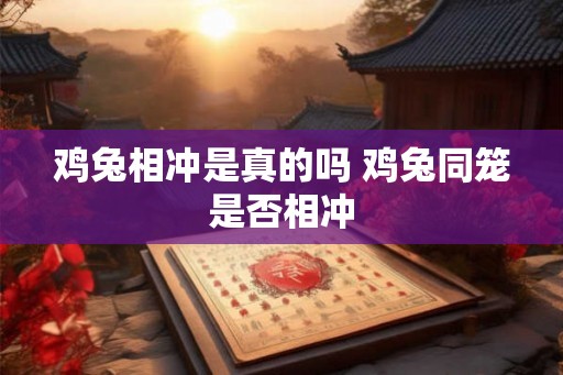 鸡兔相冲是真的吗 鸡兔同笼是否相冲