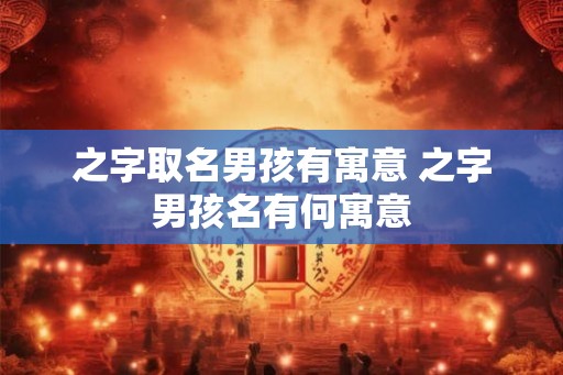 之字取名男孩有寓意 之字男孩名有何寓意
