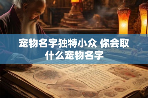 宠物名字独特小众 你会取什么宠物名字