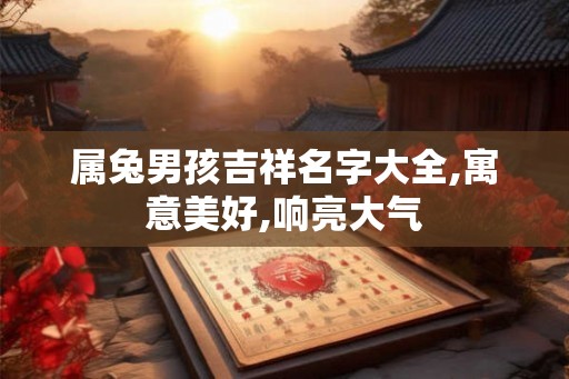 属兔男孩吉祥名字大全,寓意美好,响亮大气
