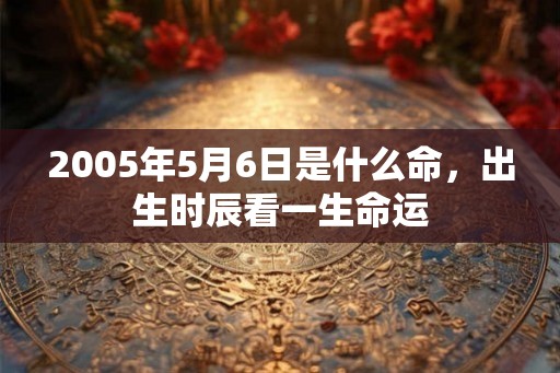 2005年5月6日是什么命，出生时辰看一生命运