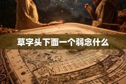 草字头下面一个弱念什么