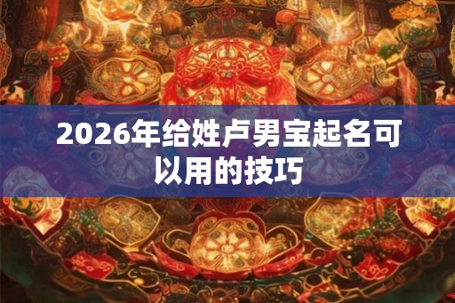 2026年给姓卢男宝起名可以用的技巧