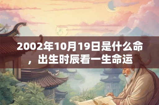 2002年10月19日是什么命，出生时辰看一生命运