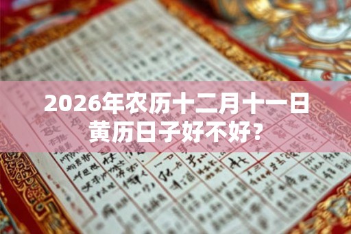 2026年农历十二月十一日黄历日子好不好？