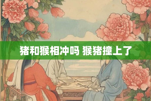猪和猴相冲吗 猴猪撞上了