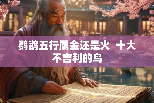 鹦鹉五行属金还是火  十大不吉利的鸟